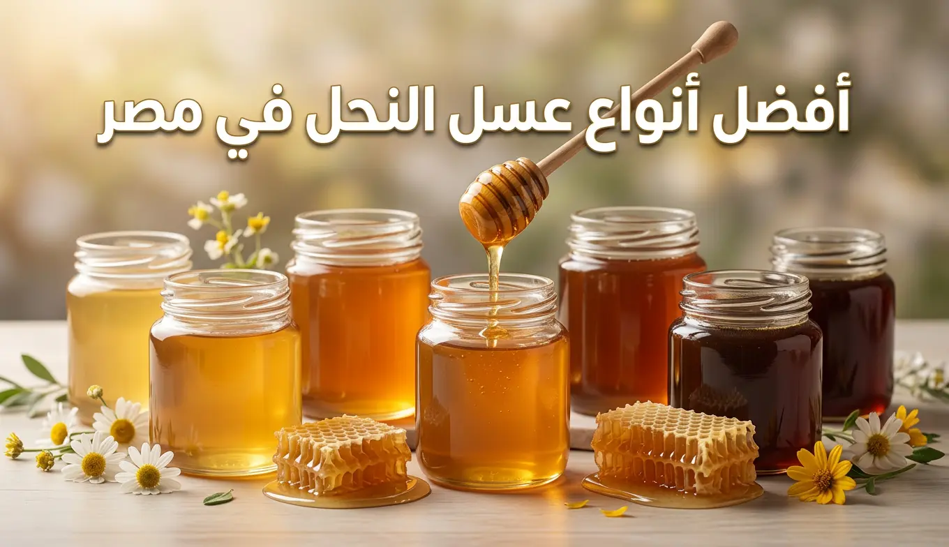 أفضل أنواع عسل النحل في مصر | أنواع العسل الأصلي - سوق العسل