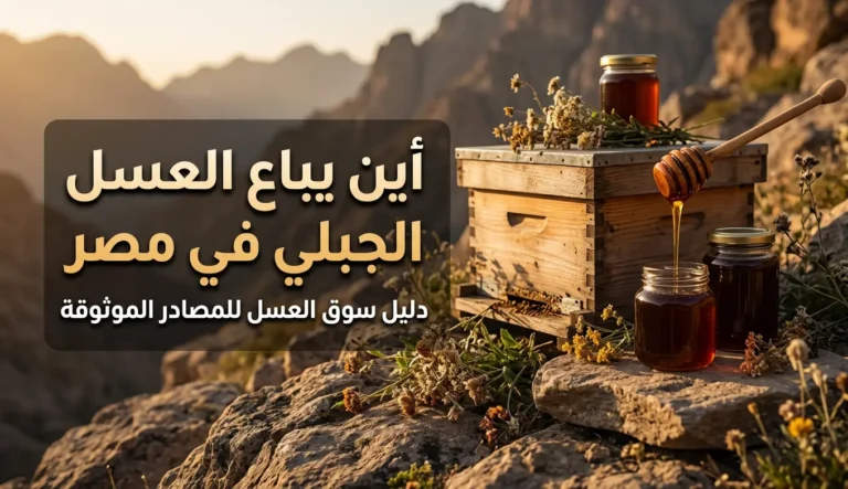 أين يباع العسل الجبلي في مصر