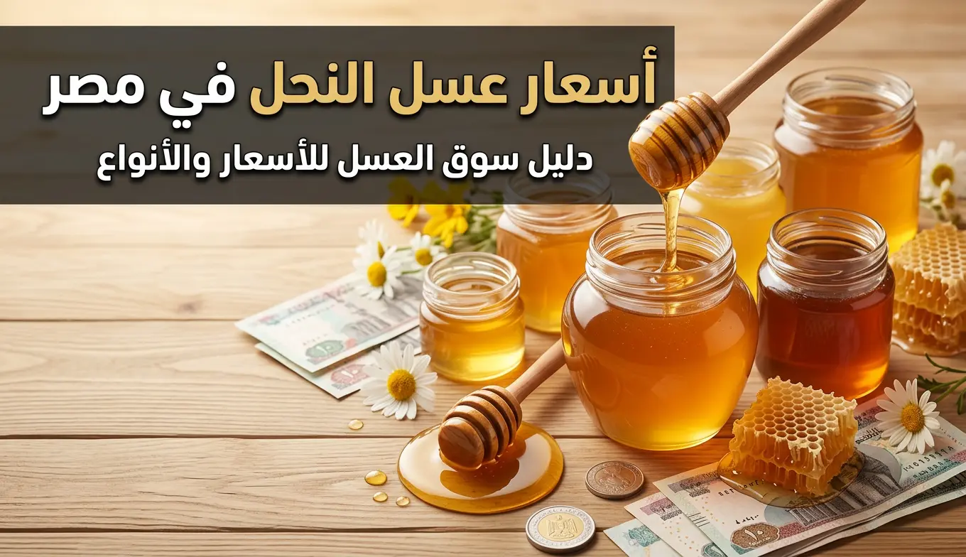 اسعار العسل النحل في مصر